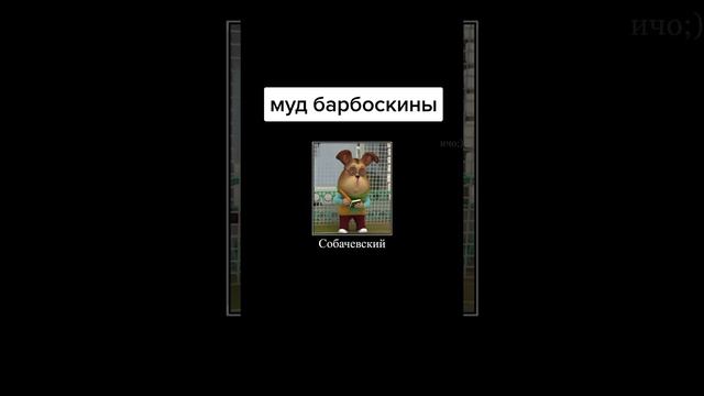 МУД БАРБОСКИНЫ. СМЕШНОЙ МЕМ ПРО БАРБОСКИНЫХ