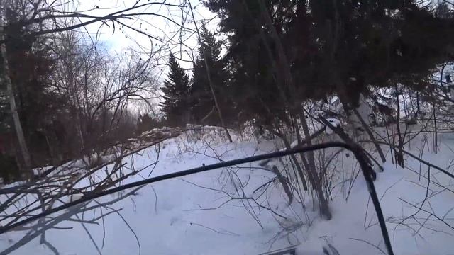 Из мотособаки в мототолкач!Едем по болоту и глубокому снегу.Мотобуксировщик Ураган Тайга на склизах