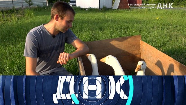 «ДНК»: «Бесплодный фермер стал отцом?» | Выпуск от 18 июня 2024 года