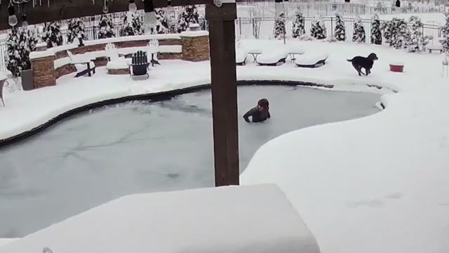 Женщина прыгнула в замерзший бассейн , пытается спасти в нём свою собаку!