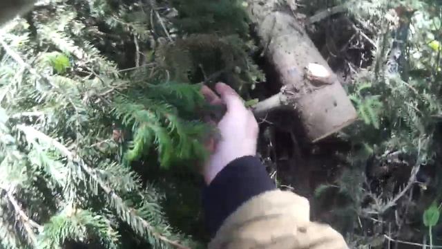 Как  легко таскать тяжелые бревна без механизмов