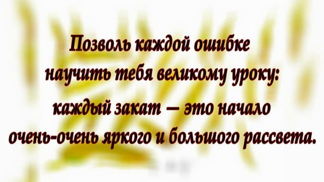 Шри Чинмой - цитаты, афоризмы,высказывания