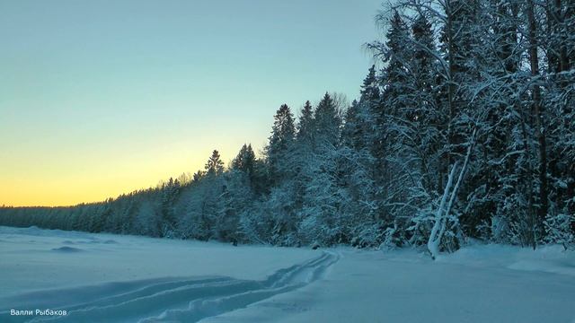 Покатушки на мини снегоходе велс 200 Онежское озеро.