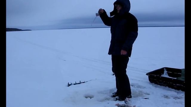 Видео ловля окуня на раттлин(виб) зимой со льда