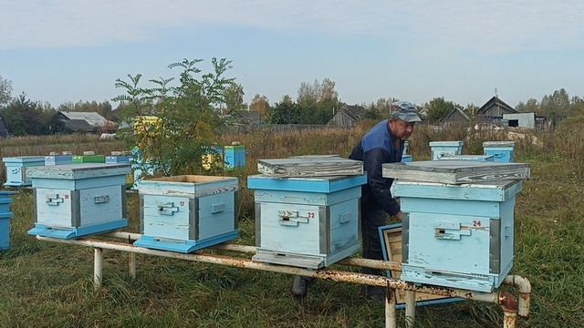 На пасеке дела бывают разные. Пчеловодство!