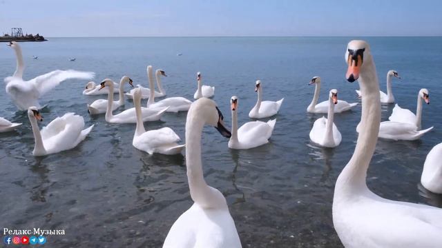 "ДОРОГА В НЕБЕСА" Три месяца я слушала только эту музыку... Самая красивая мелодия в мире