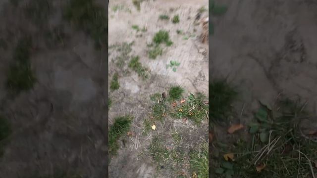 Уаз Патриот 2019 ремонт заслонки подмеса воздуха