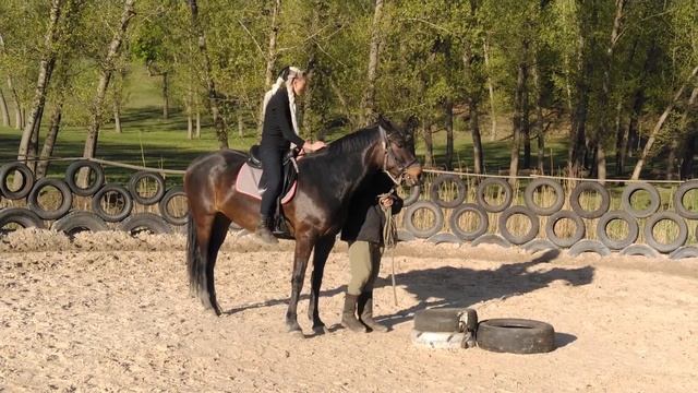 Заездка лошади