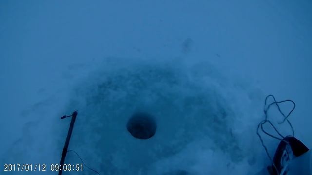 Рыбалка на щучьи капканы