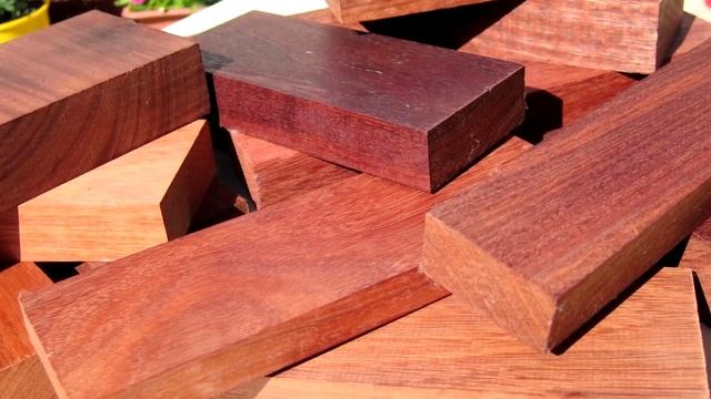 Какое дерево имеет самую твёрдую древесину?