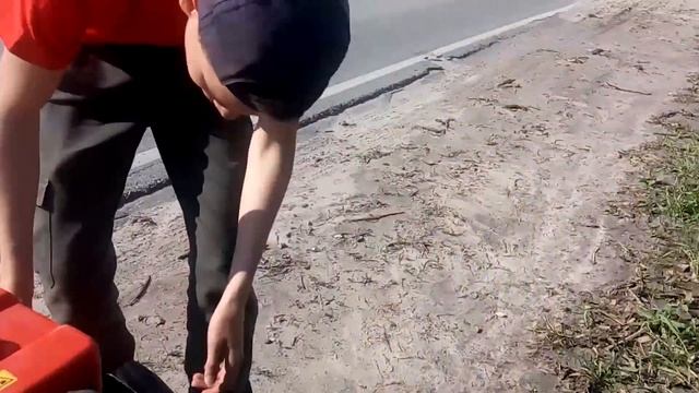 Перевозка бревен на мотоблоке мтз-09Н.(часть 2)