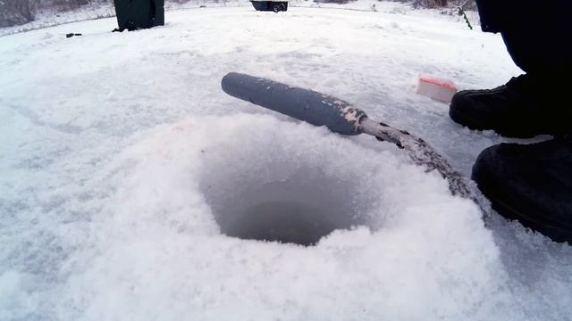 Ловля ерша зимой на мормышку