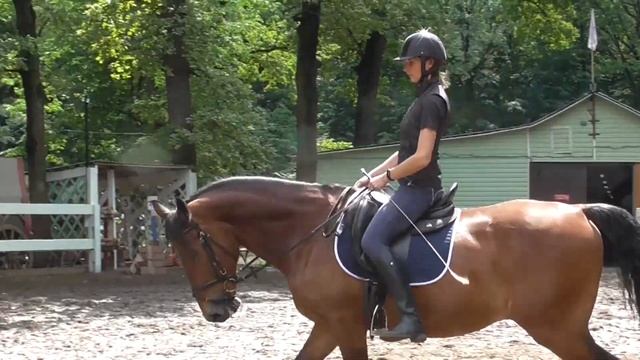 Уроки верховой езды. Равновесие в движении. Учебная рысь.