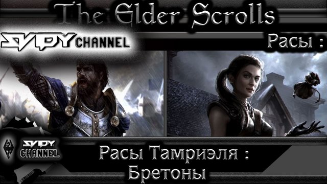 The Elder Scrolls-Расы Тамриэля-Бретонцы(Лор)