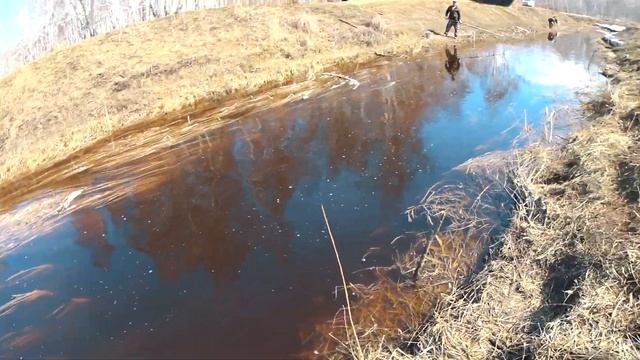 Рыбалка на паук-подъёмник в мелком ручье