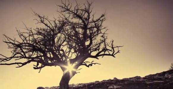 Шаманская Музыка для Медитации, Расслабляющая Музыка, Музыка для снятия стресса