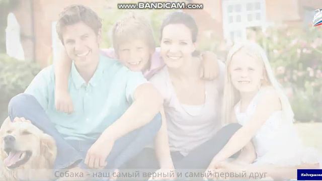 Окружающий мир 2 класс. Про кошек и собак.