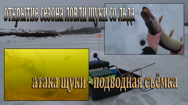 Ловля щуки зимой, открытие сезона! Щука атакует живца - подводная съемка! Рыбалка на жерлицы!