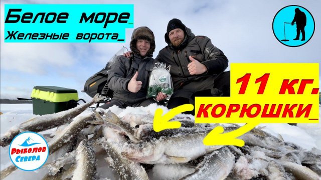 ✅ РЫБАЛКА НА КОРЮХА В БЕЛОМ МОРЕ #Рыболов_севера 23 февраля