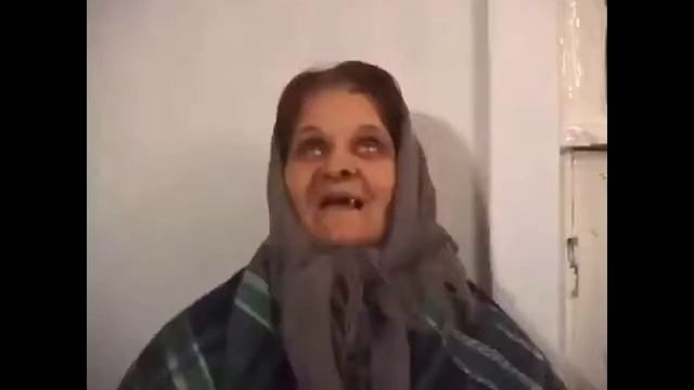 Клип теща моя злая свинья Песня группы Сектор газа