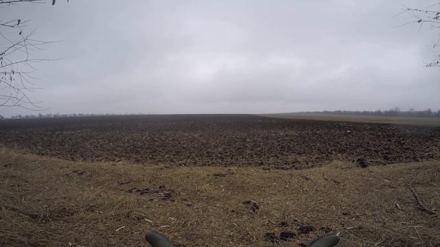 Охота на зайца Краснодарский край Коневской район