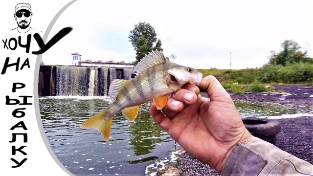 ЕЩЁ ОДНА ЛЕТНЯЯ РЫБАЛКА 2021 ГОДА ловлю окуня на мормышку в реке и пруду