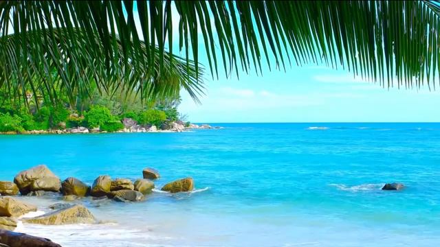 CJ DIMON CJ AKO Зачем так создали любовь