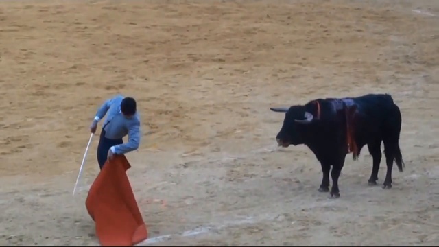 Жорж Бизе - _“Кармен. Тореадор, смелее!.._“