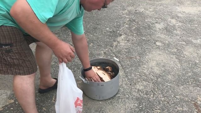 Заготовка и быстрая сушка березового сувеля и капа