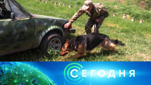«Сегодня»: 6 мая 2024 года. 16:00 | Выпуск новостей | Новости НТВ