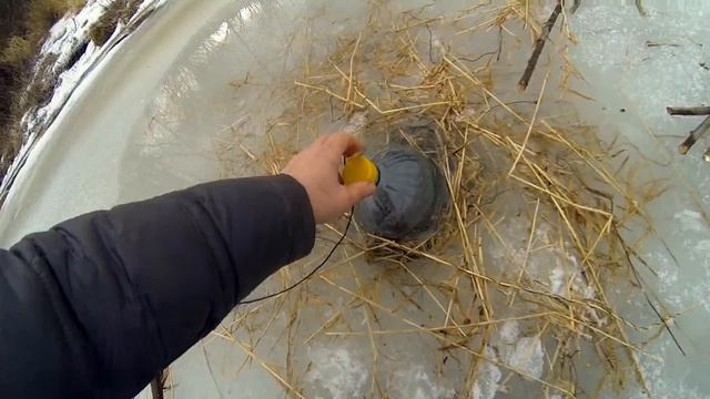 КАК ХРАНИТЬ ЖИВЦА ЗИМОЙ И НЕ НОСИТЬ ЕГО ДОМОЙ!!! ОТЛИЧНЫЙ СПОСОБ!!