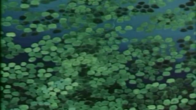 Արջը: Медведь-липовая нога հայերեն