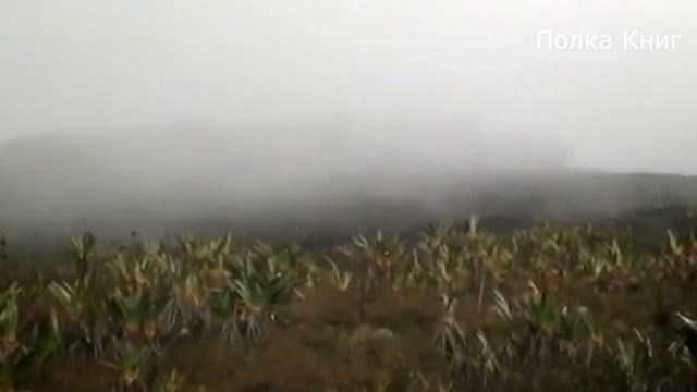 НЕВЕСТКА ХОТЕЛА ОТ СВЁКРА ТОЛЬКО ОДНОГО! Интересные истории из жизни. Рассказы о любви.