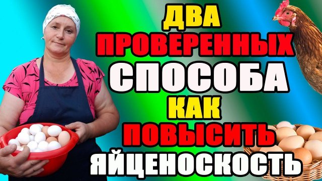 Два проверенных способа, как всегда быть с яйцом.