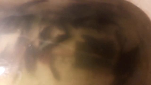 Как сохранить живца зимой. Храню живца всю зиму!