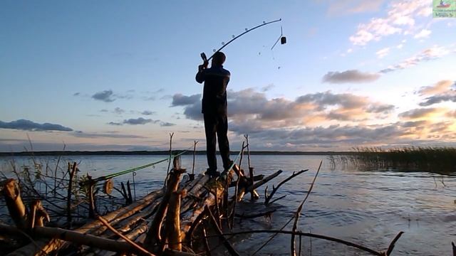 Летняя рыбалка на водохранилище