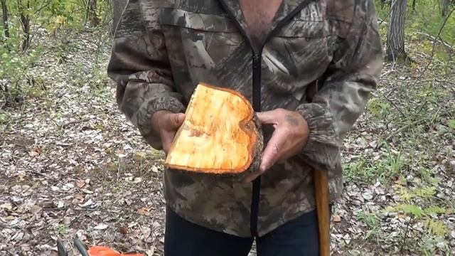 Материал для ручки ножа, Ольховый кап и Березовый корнекап