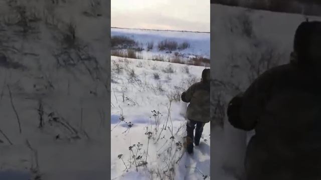 Зимняя рыбалка на мотособаке.