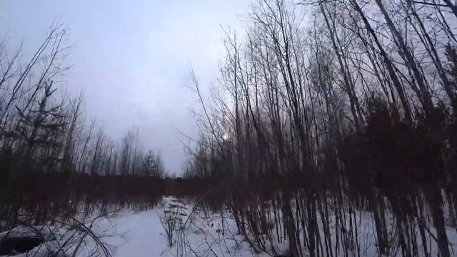 Рыбачу у острова возле села. Будни Олега.