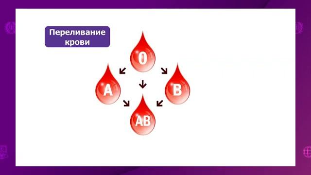 Биология. 8 класс. Группы крови. Переливание крови. Резус-фактор. Агглютинация /08.12.2020/
