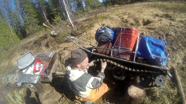 Мотобуксировщик Койра  летом