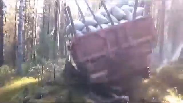 Заготовка кедрового ореха  Добыча и переработка кедровой шишки  Месяц в сибирской тайге!