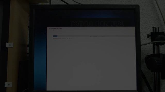 Установка Kali linux используя весь HDD
