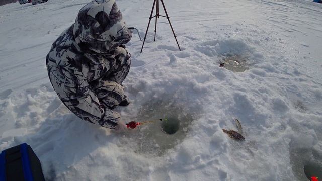 Зимняя рыбалка, ловим камбалу в Тавричанке