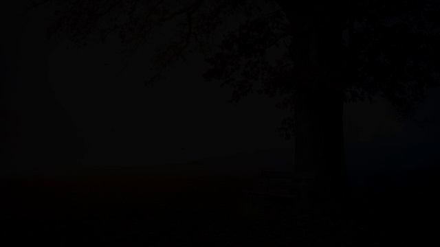 Нежная музыка для души и ЖИЗНИ, а Пение птиц Успокаивает нервную систему.