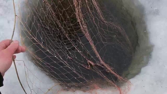 На рыбалке на озере в тундре НАО, с ненцем Лехой проверяем сети зимой.