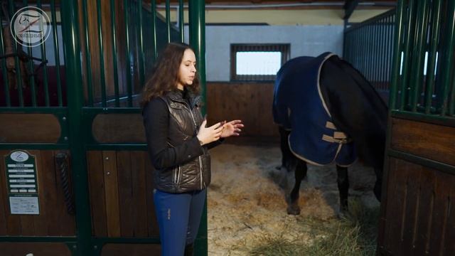 Денник для лошади / Как создать идеальные условия / Комфорт и безопасность