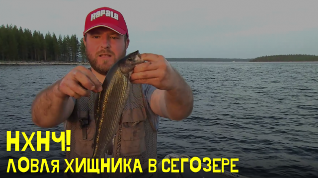 Ловля хищника в Сегозере \ Ни хвоста, ни чешуи. Сезон 1