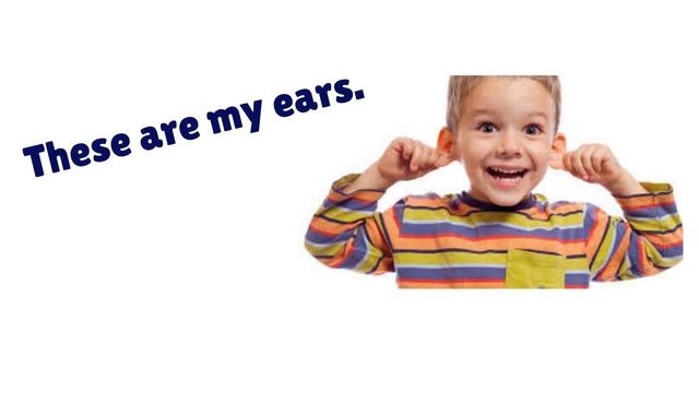 My face parts for kids, parts of the face, learn face parts, face song