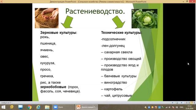 Сельское хозяйство России Растениеводство и животноводство